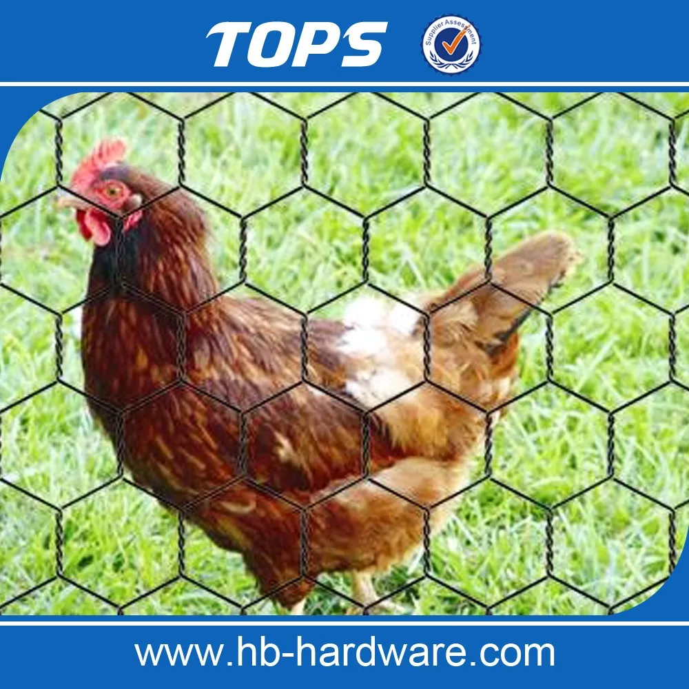 hexagonal wire mesh machine