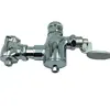 CF-8601 A Set Of Food Pedal-pressing Time Delay Valve Style Wras Squat Pan Flush Valve