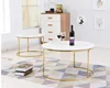 2 Pieces Round Center Table Stainless Steel Base Marble Top Coffee Table