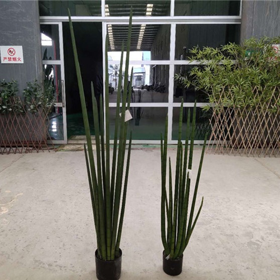 

Customized Artificial Pu Plastic Sansevieria Cylindrica Snake Tree Gree Plants Alismoides Pot For Garden Decoration