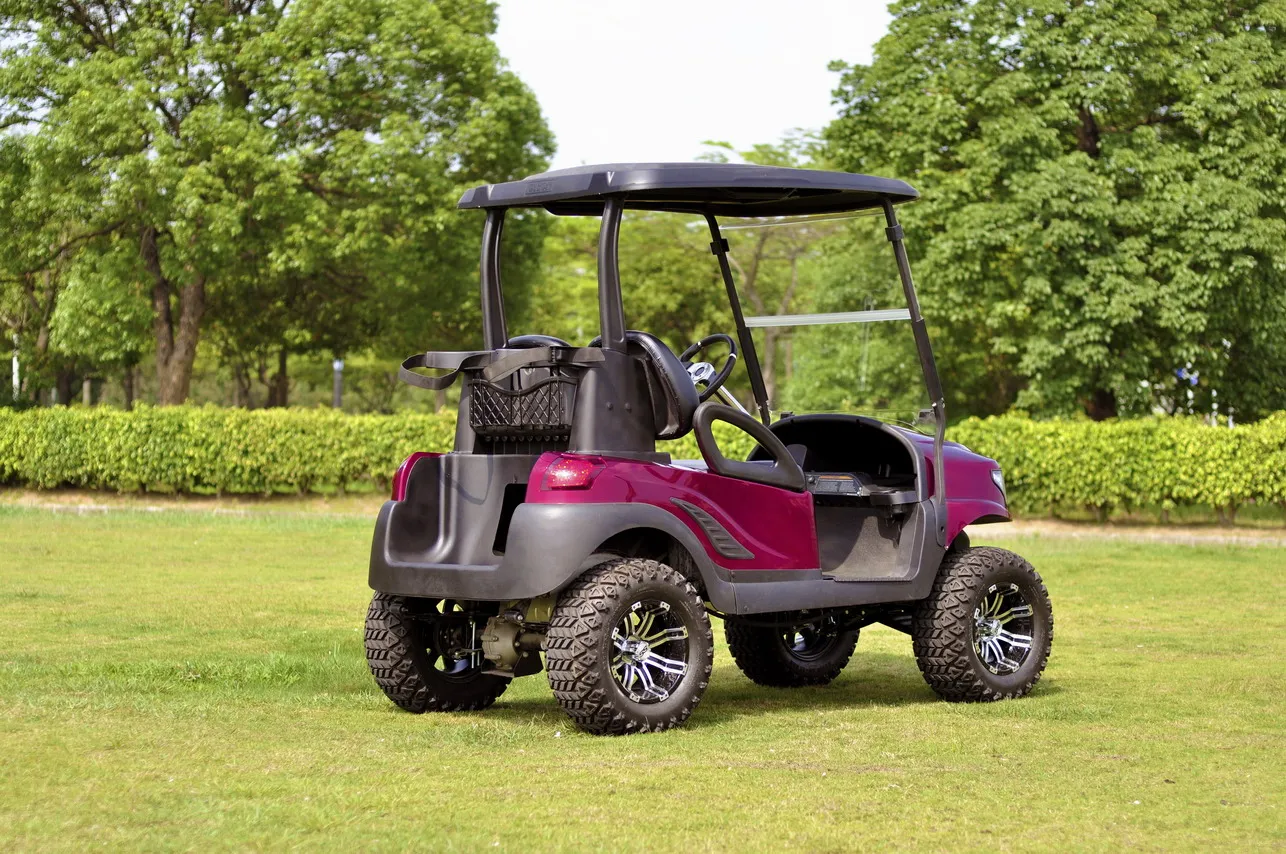 Coco coupe golf cart reviews