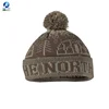 Wholesale Custom Jacquard Beanie Own logo Fashion Winter Hat Promotional Pom-Pom Top Embroidered Winter hat knitting machine