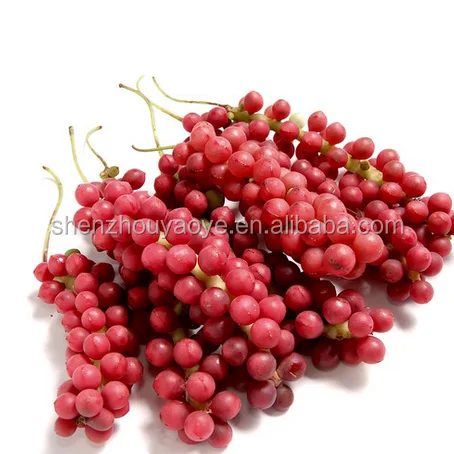
Factory supply organic schisandra berries for tea drinking or Wuweizi with competitive price 