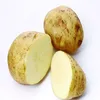 Certificated HALAL/ GAP Place The Potatoes, Lebanon Potatoes, Fresh Potato Importers In Sri lanka