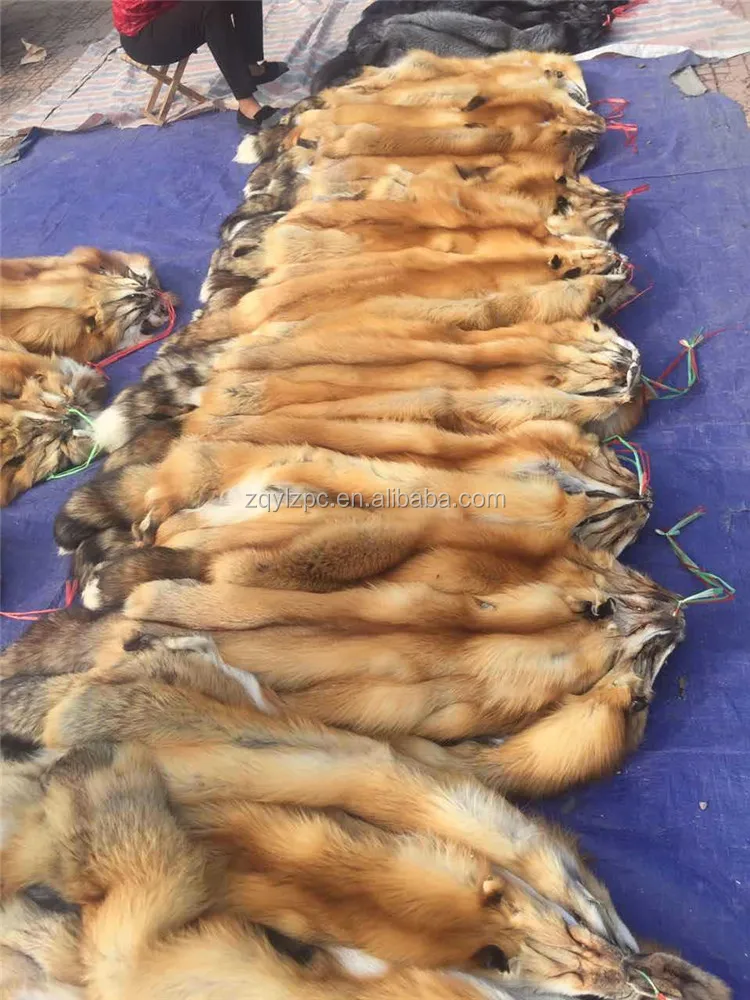 Fox skin02.jpg