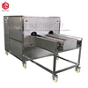 High Efficiency Onion Root Ends Cutting Machine Onion Processing Machine