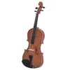 Popular student violin spruce German violin 4/4 MV012W