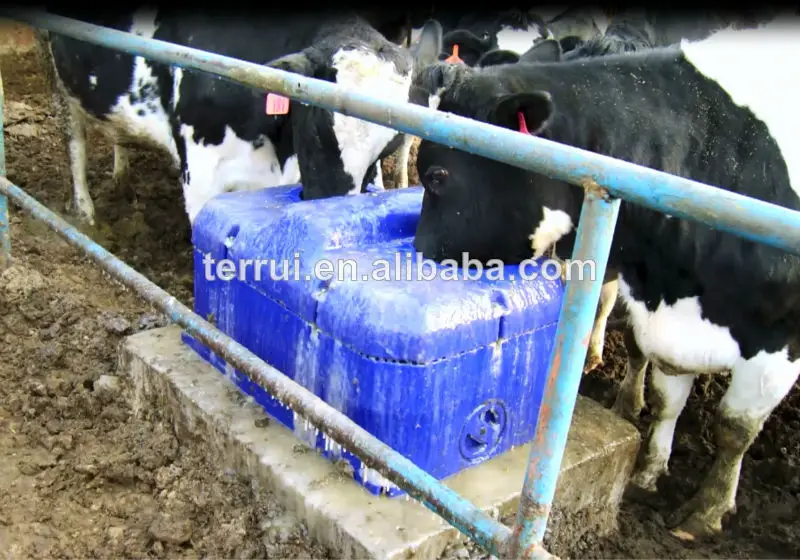 Plastic Thermo Twoholes Waterer/livestock Water Tank For Cold Weather