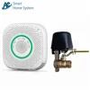 Smartphone Remote Control Combustible WiFi Gas Detector