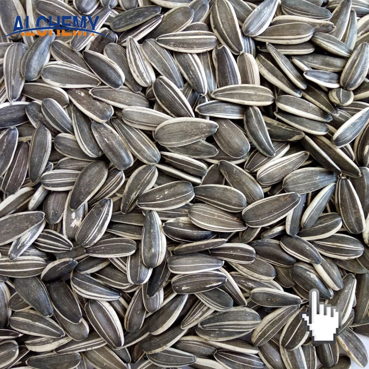 Wholesale 5009 Type Sunflower Seed Kernel Ton Price Buy Hulled