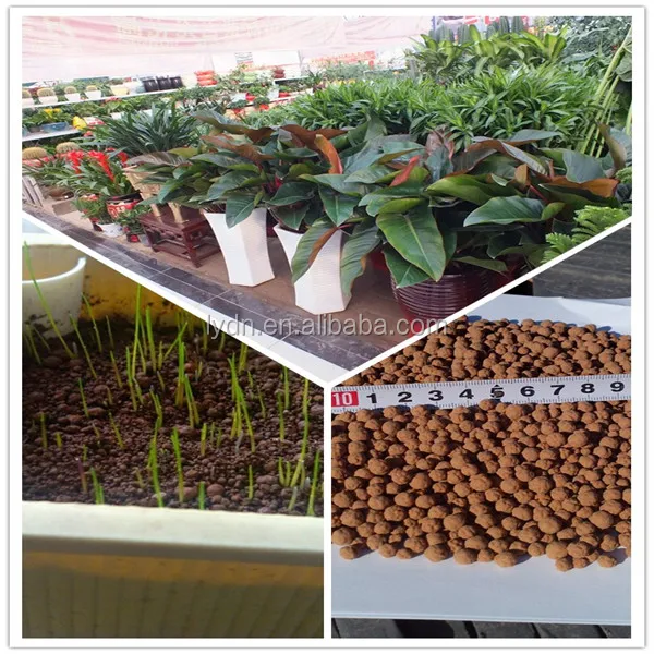 Bequem und sauber garten lehmboden bonsai boden für pflanzen oder ...