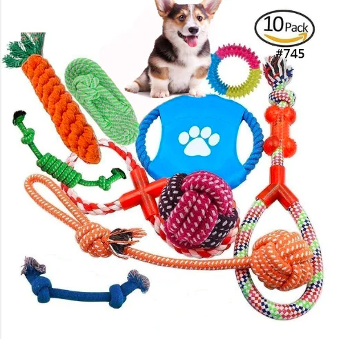 

Wholesale Pet Supplies 10 Pack Good Most Durable Dog Toys for Dog Toothbrush Chewers