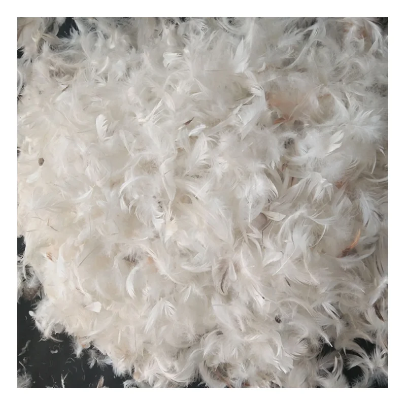 
Wholesale 90% Washed White Duck Down feather Goose Down Feather 