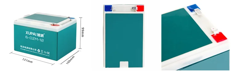Details 6-DZM-12 battery