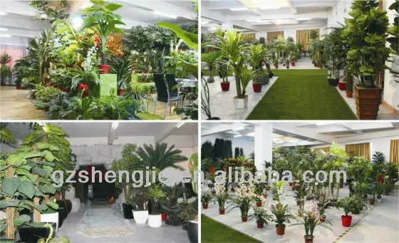 plant showroom.jpg