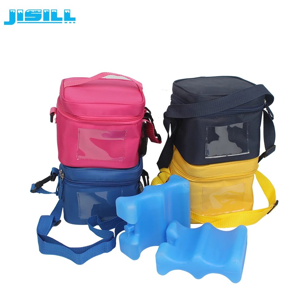 Travel Insulated Leakproof Breast Milk Cooler Bags For Cold Storage