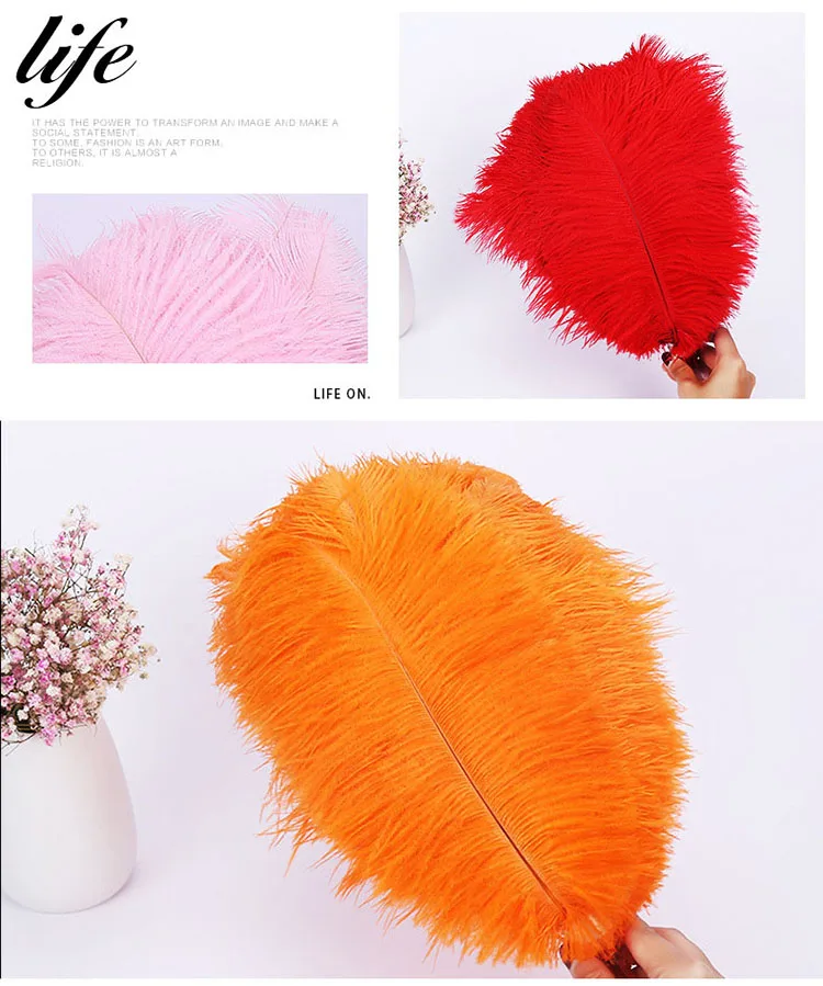 2530cm White South Africa Ostrich Feathers Buy Different Colours