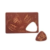 PVC material guitar pick card sheet with double sides customized printing