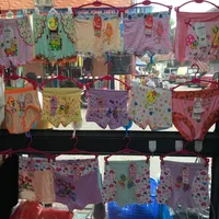 

0.43USD Assorted High Quality Modals Cotton 3-12Years Girls Boxer Shorts/Panty/Boxer Briefs (gdzw015)