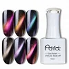 Guangzhou Perfect UV/LED Soak off 5D Cat Eye Gel Polish Magnetic Cat Eye Nail Gel Polish for Nails