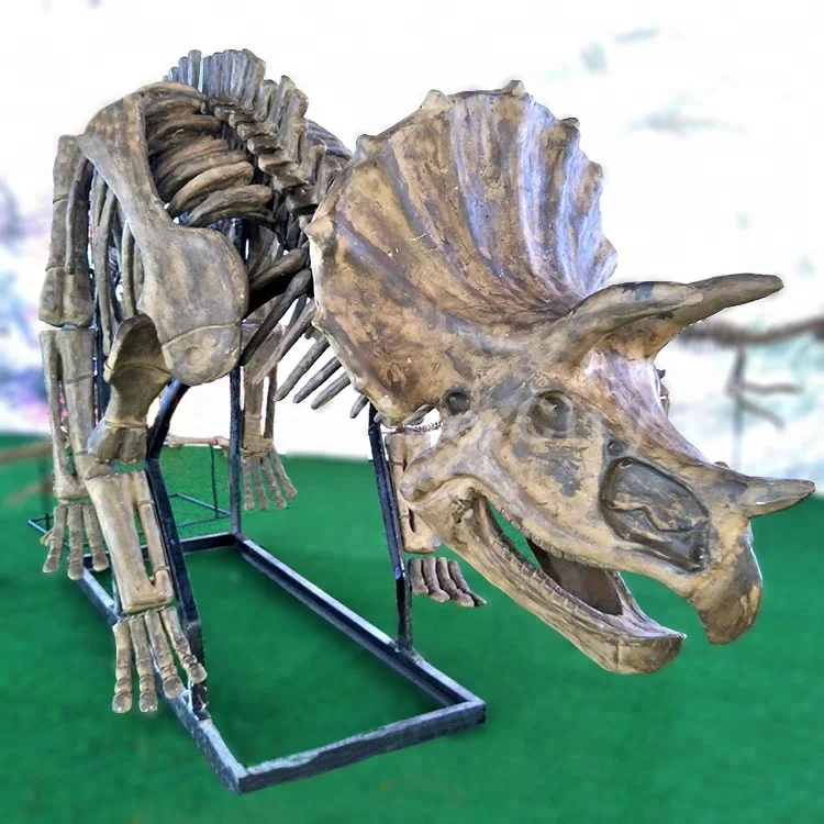 

science museum triceratops dinosaur fossils for sale, Original or customized