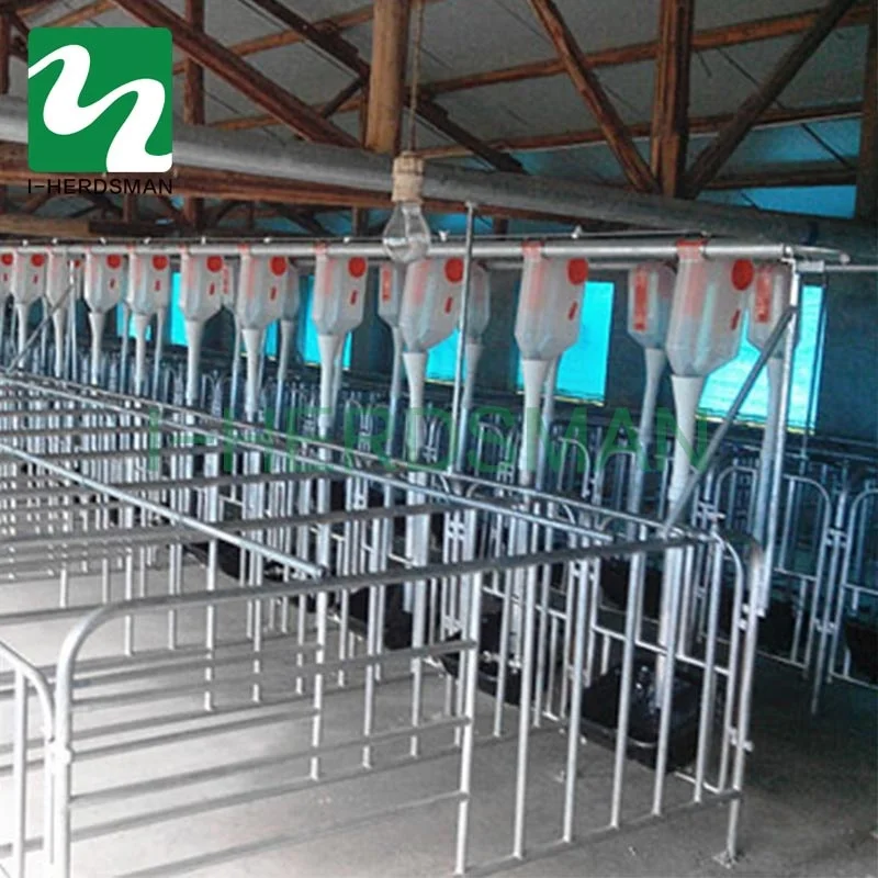 Pig Breeding Equipment Sows Cage Gestation Crate Buy Gestation Crate For Sows Sow Cage Gestation Crate For Sows Pig Breeding Equipment Gestation