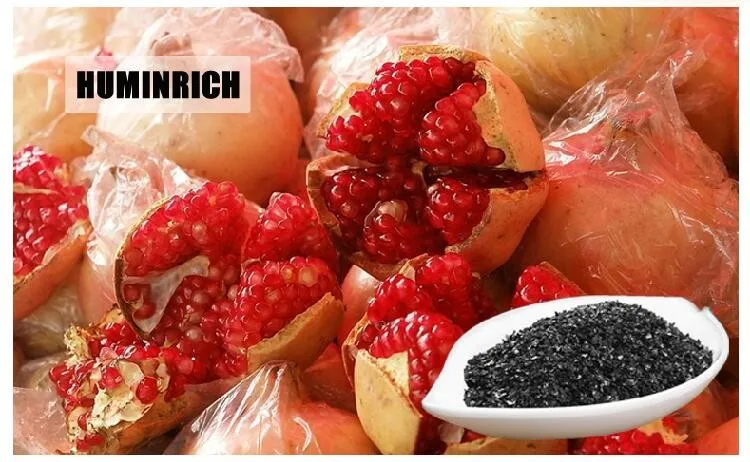Humic Acid Fertilizer Thailand.jpg