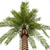 /product-detail/tall-bay-decorative-palm-artificial-tree-with-nearly-natural-anti-uv-leaves-62174911423.html