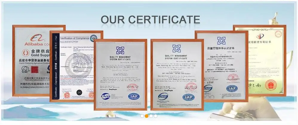 certificate 3.jpg