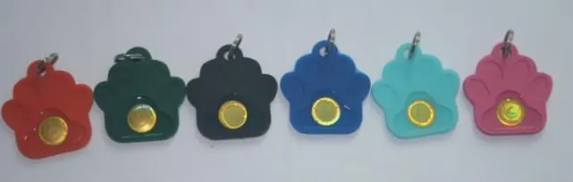 colorful pet tag