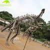 KANOSAUR0616 Zigong Dinosaur Maker Kids Attraction Animal Model Skeleton