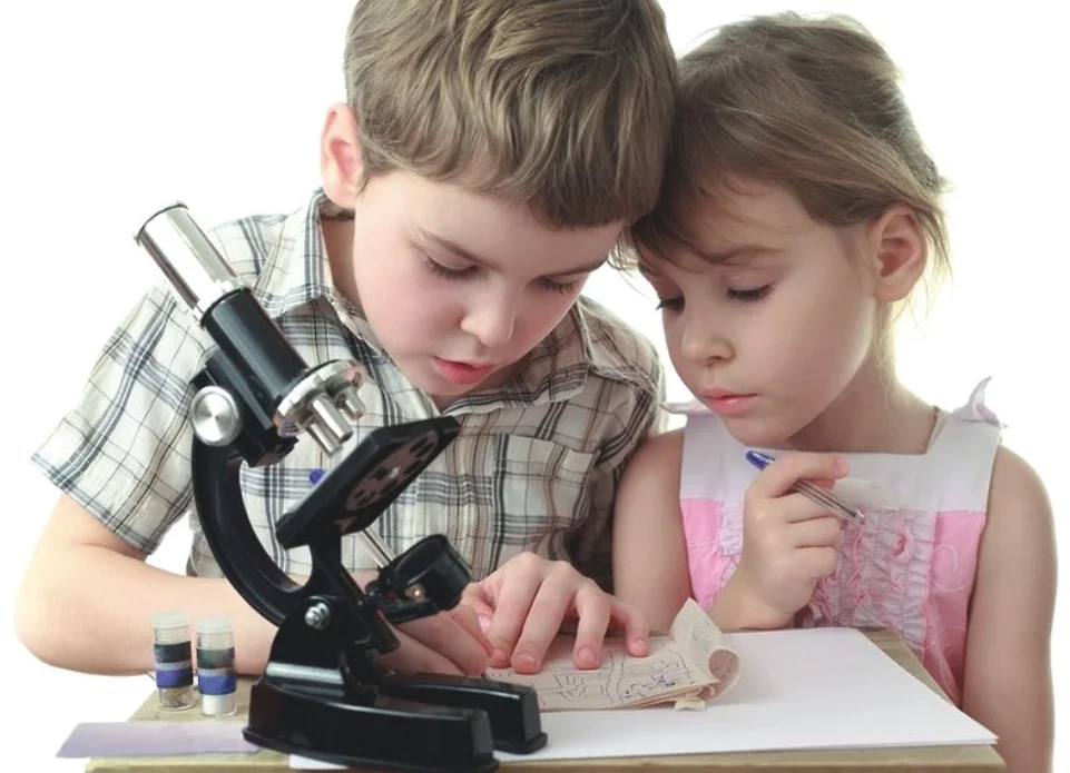 paste-pic-dp_uuid_pbn4a