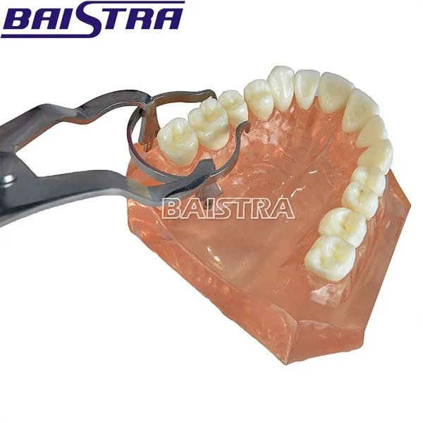 Orthodontic Materials Azdent Dental Sectional Contoured Matrix Buy