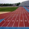 Guangzhou Manufacturer Supply Suitable For All Weather IAAF Certificate Cheap Price Outdoor And Indoor PU Synthetic Track