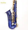 China Factory Supply Eb Key Alto Saxophone