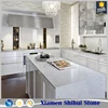 Solid Surface Arctic White Quartz Countertops