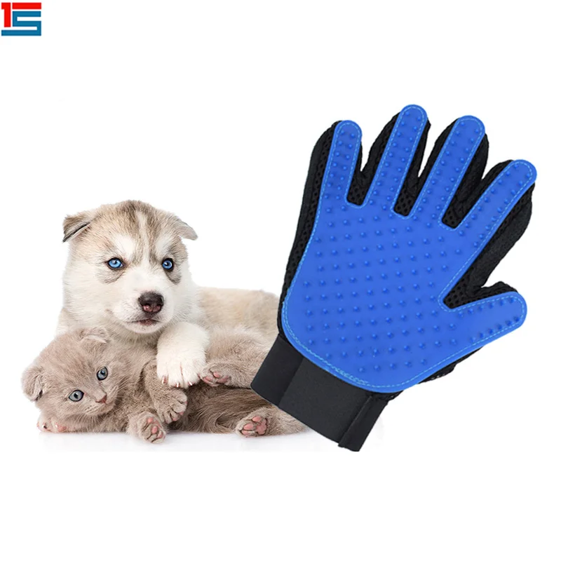 blue pet glove