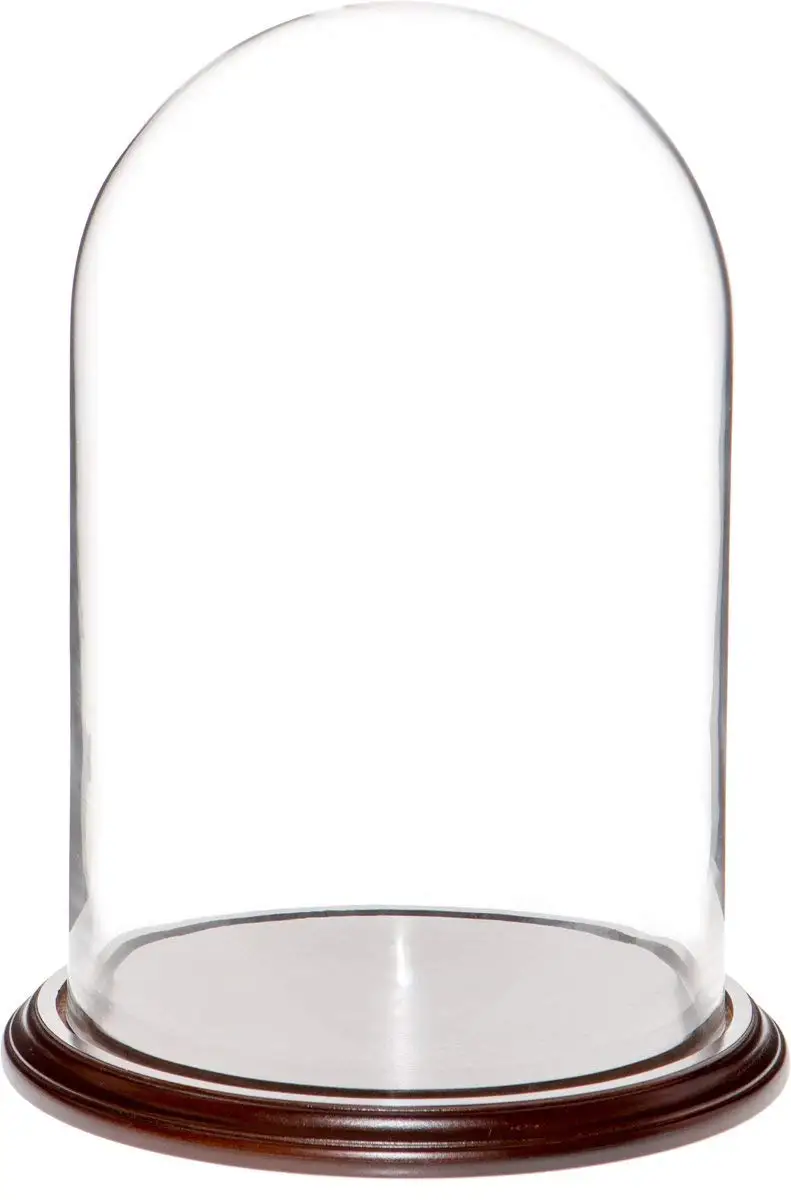 CLEAR GLASS BELL JAR (2).jpg
