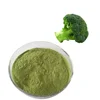 Freeze dried broccoli powder/broccoli sprout powder