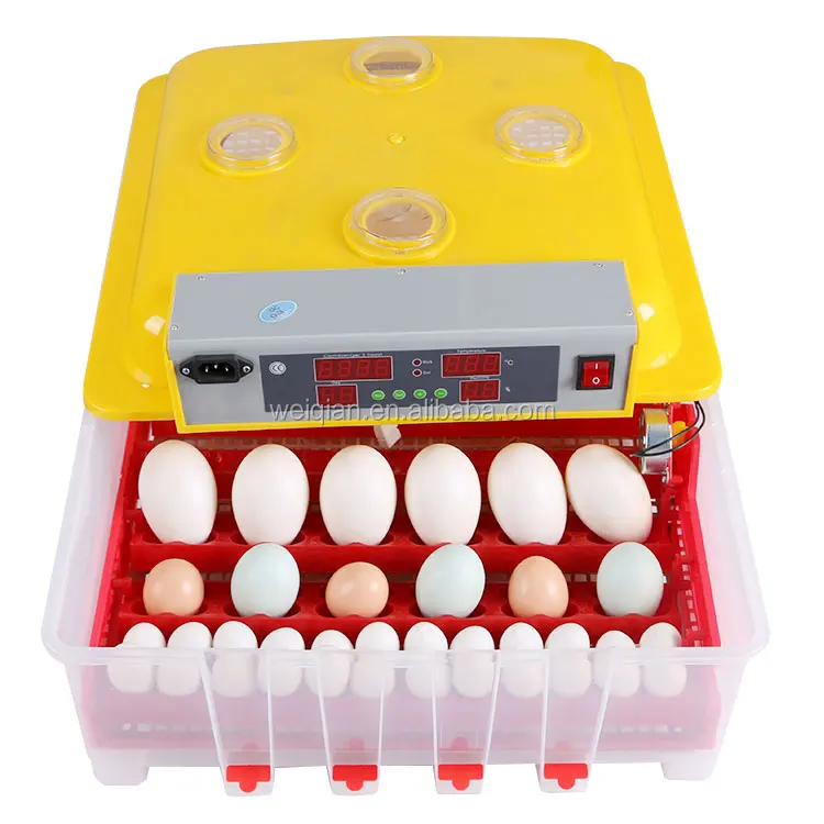 Higher Quality Mini Egg Incubator In Qatar/egg Incubator ...