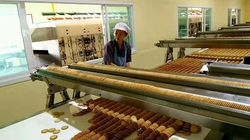 KH automatic biscuit making machine industry/biscuit production line