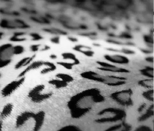 Safari Snow Leopard Print Universal Size Car Truck Suv Seat Covers Buy Silver Car Seat Cover 
