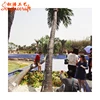 Wuhan engineering coconut tree brand decorated coconut tree climber outdoor landscape coconut tree climbing device