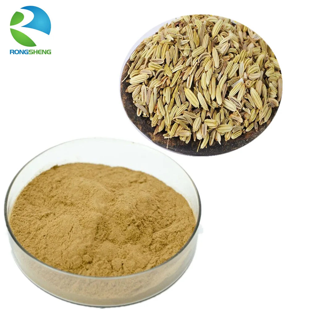 High Quality Natural Fennel Seed Extract Powder Buy Fennel Seed