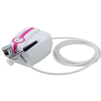 

Hot sale mini airbrush makeup compressor airbrush gun wholesale airbrush makeup kit for tattoo face body painting