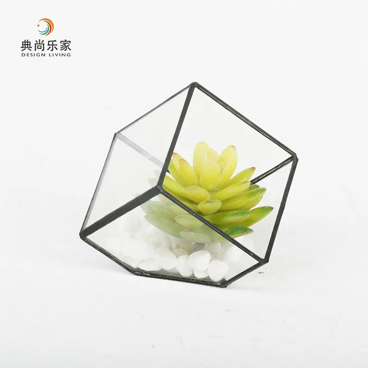 4 inch Mini Terrarium Geometric Glass Plant Pot Miniature Garden Succulents Ferns Kit Box