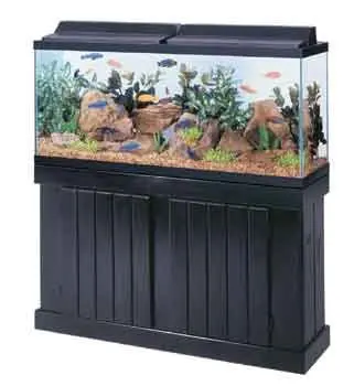 aquarium stands for sale