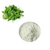 Hot Sale Price Organic Andrographis Extract Powder