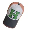 snapback cap, trucker hat