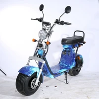 

2019 newest two seat electric 2 wheel fat tyre long range citycoco scooter with three removable battery